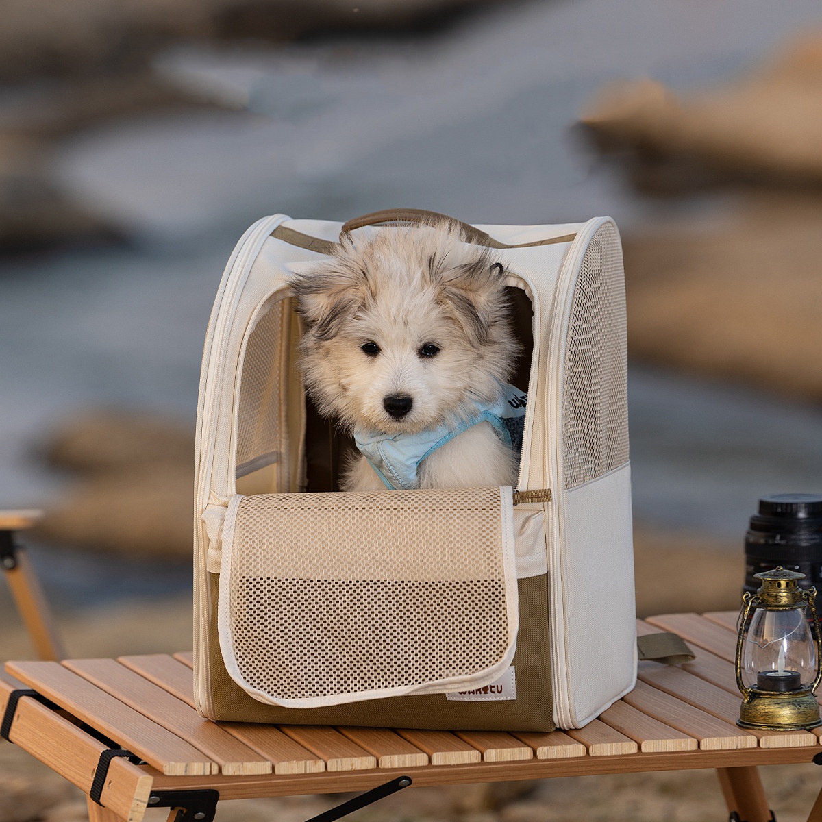 Pet Carrier Backpack Breathabl - Foldable Backpack Small のレビューと価格